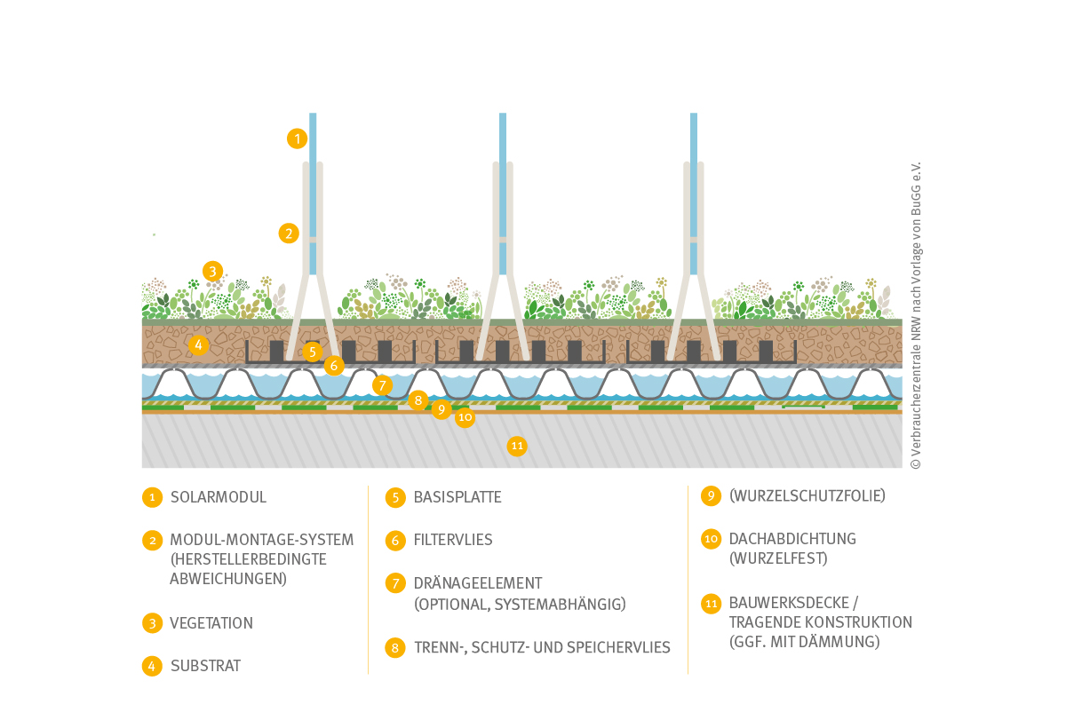 Querschnitt eines extensiven bifazial vertikalen Solargründaches (Ost-West-Ausrichtung)