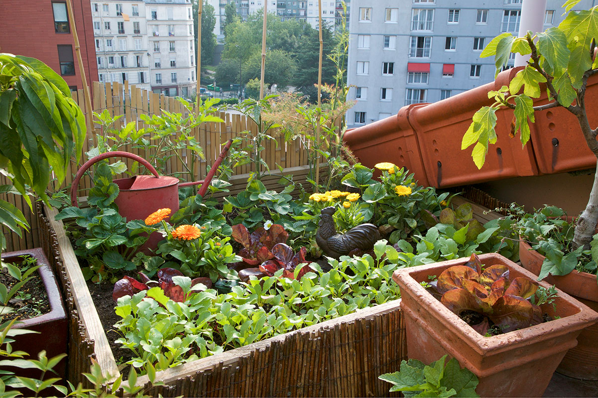 Kleiner Gemüsegarten auf Balkon; Foto: Thomas Dupaigne / FloraPress